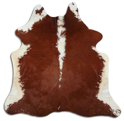 Brown & White Cowhide Rug M