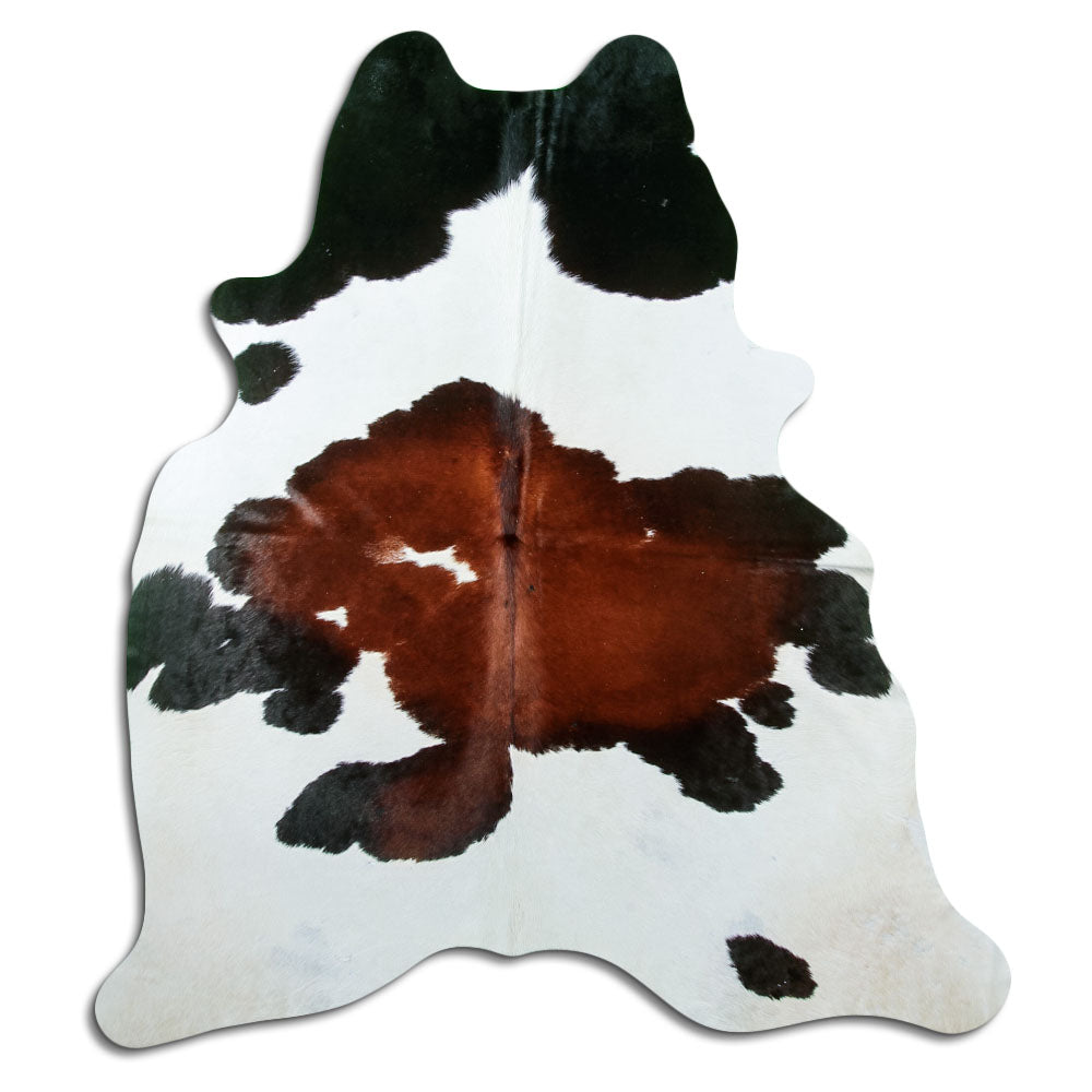 Tricolor Cowhide Rug L