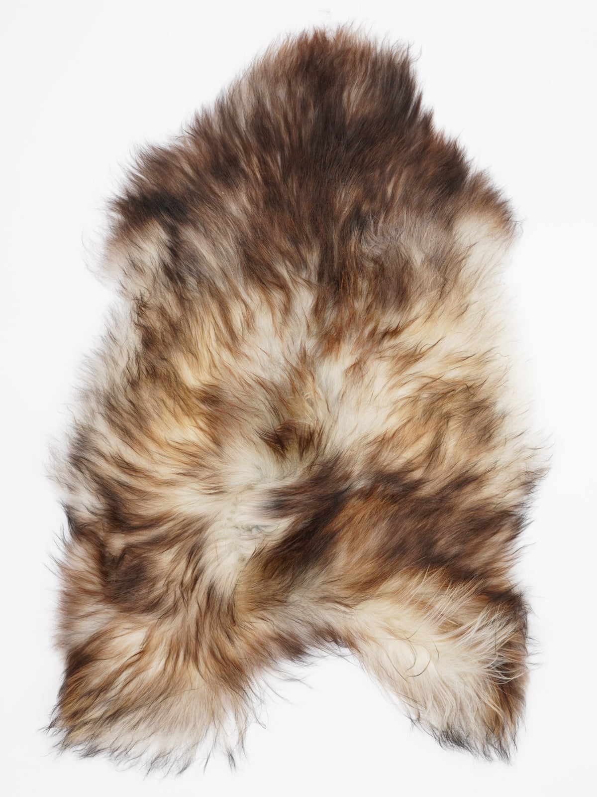 OF00010
