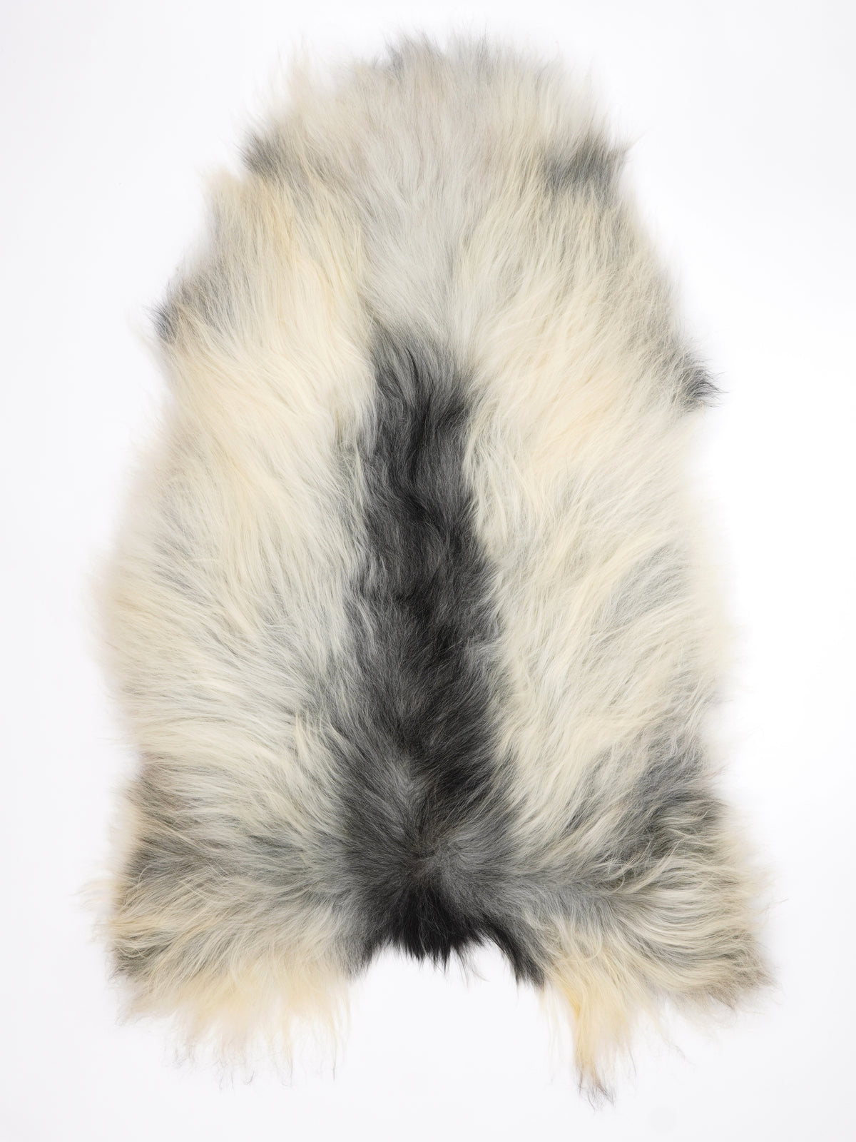 NZ00100