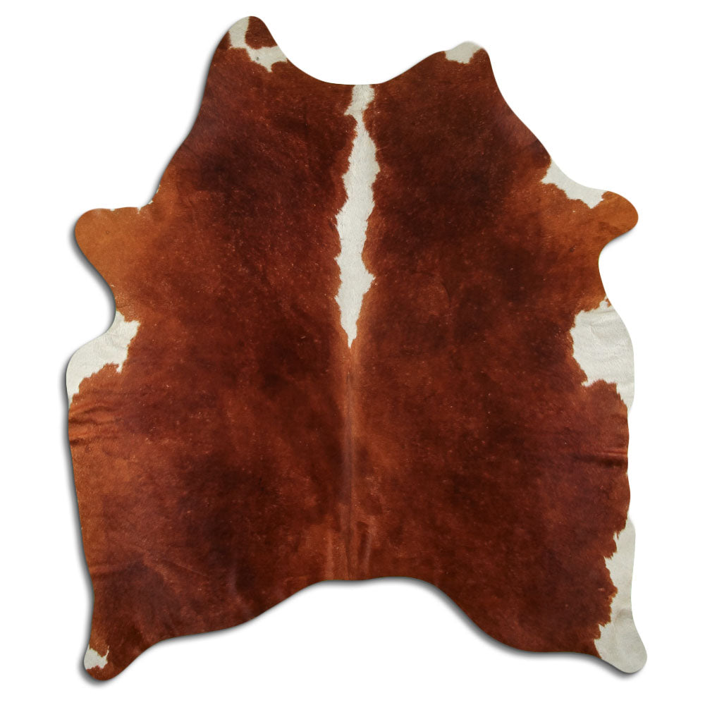 Brown & White Cowhide Rug M