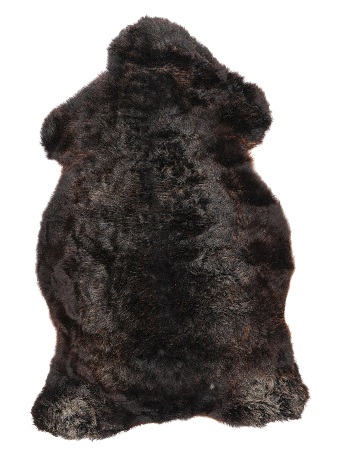 NC00048