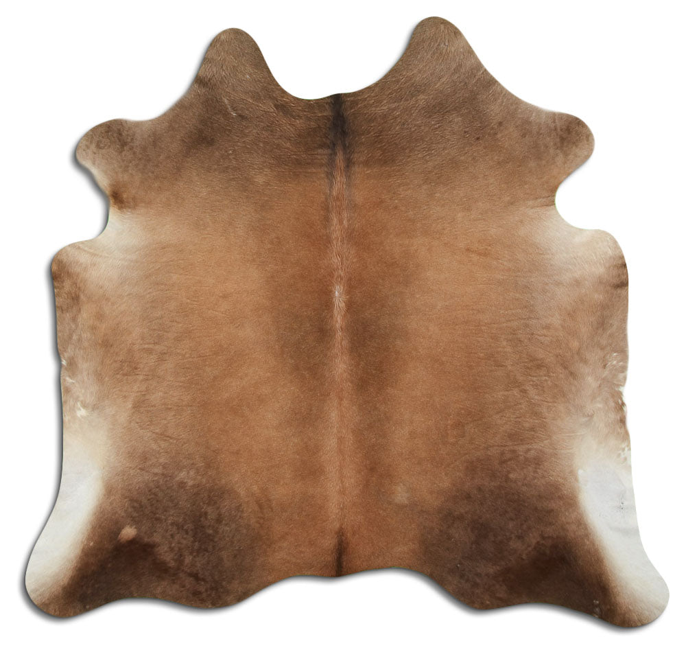 Champagne Cowhide Rug L