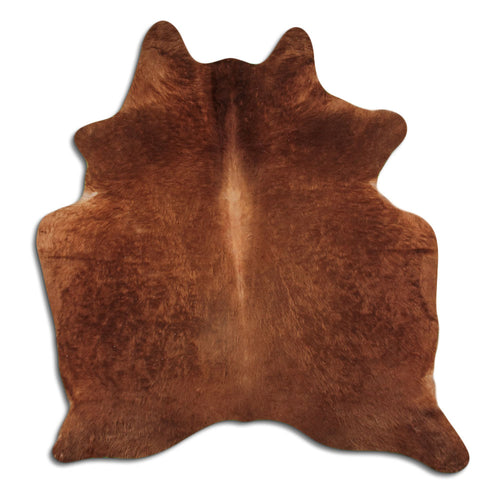 Brown Cowhide Rug M