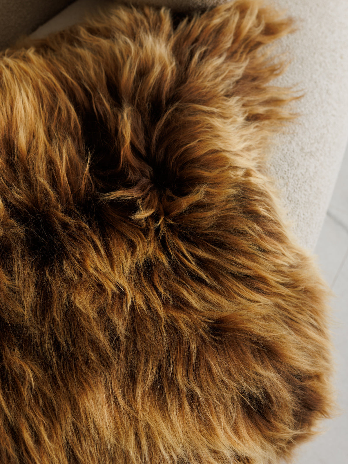 Close-up of long brown Icelandic wool