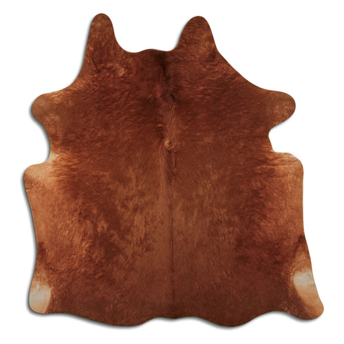 Brown Cowhide Rug L