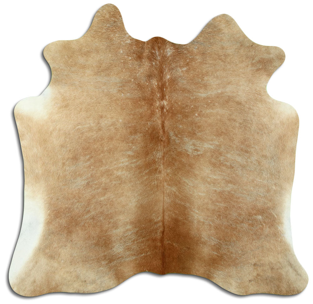 Brown Cowhide Rug M