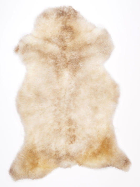 NG00014