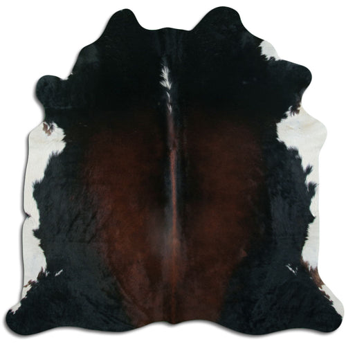Tricolor Cowhide Rug L