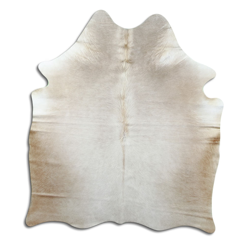 Champagne cowhide rug of about 160 × 140 cm, seen from above: the exact hide you receive