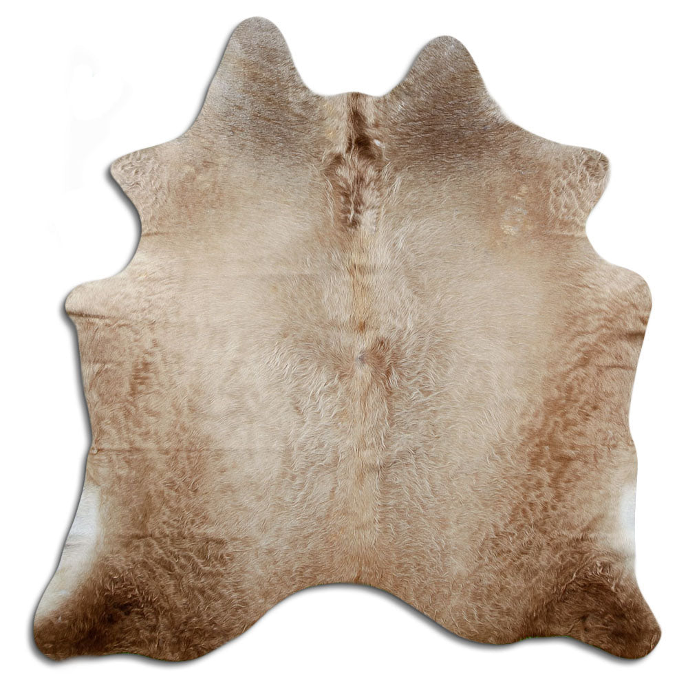 Champagne cowhide rug of about 170 × 170 cm, seen from above: the exact hide you receive