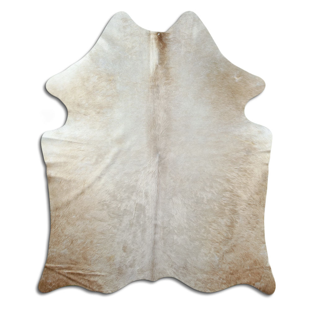 Champagne cowhide rug of about 170 × 150 cm, seen from above: the exact hide you receive