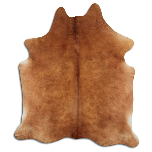 Brown Cowhide Rug M