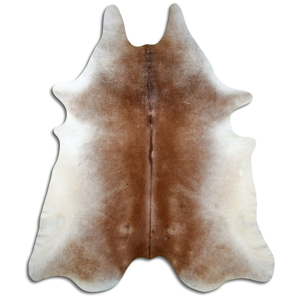 Brown cowhide rug of about 250 × 210 cm, seen from above: the exact hide you receive