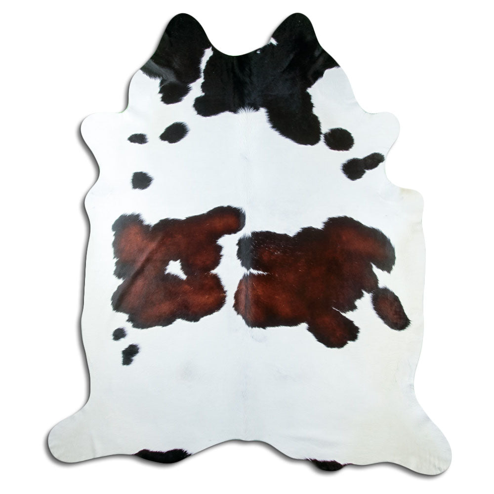 Tricolour cowhide rug of about 250 × 220 cm, seen from above: the exact hide you receive