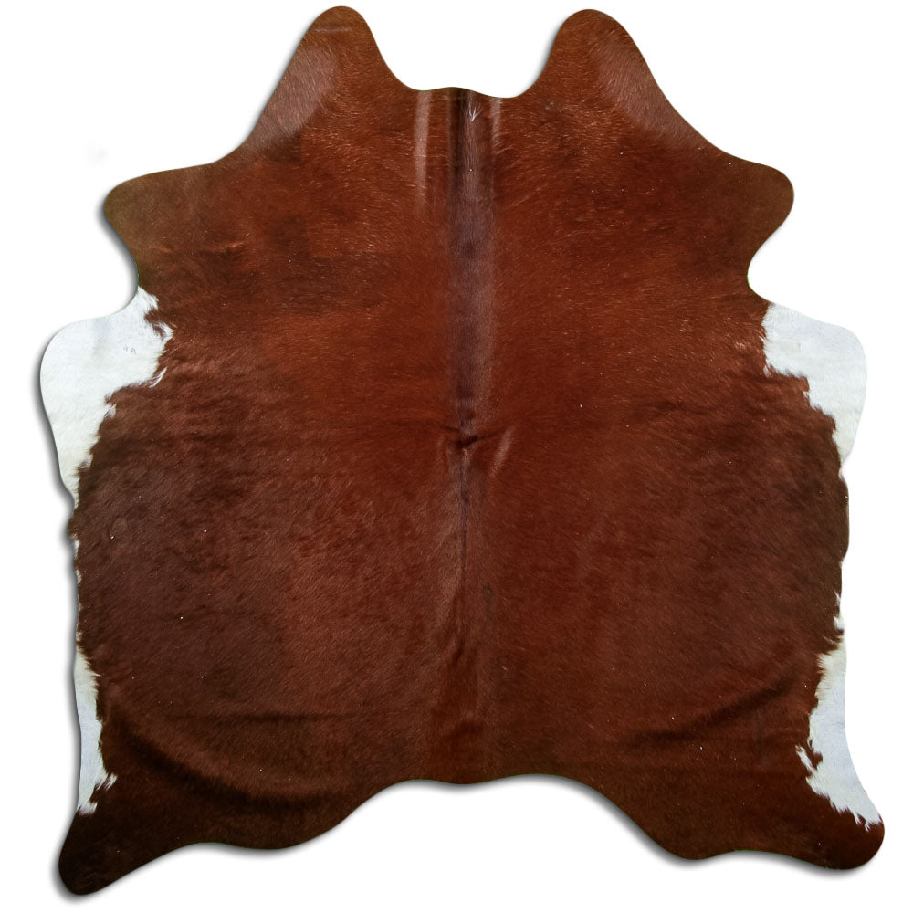 Brown Cowhide Rug M