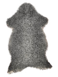 NH00009