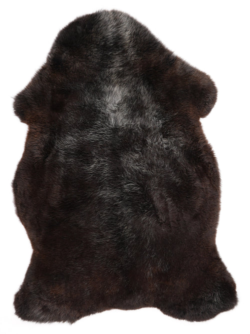 MD00099