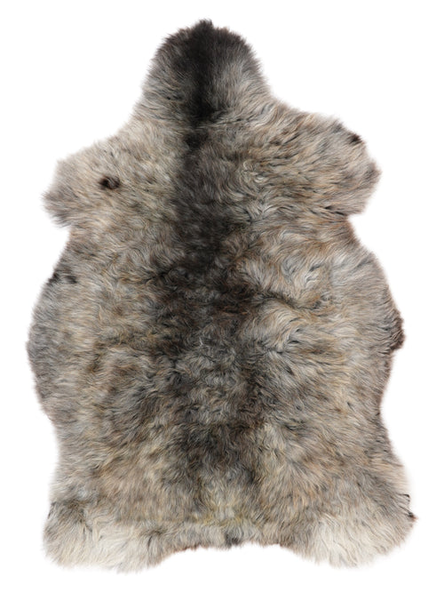 NC00038