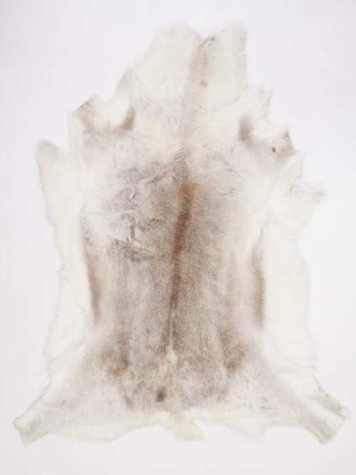 OX00024