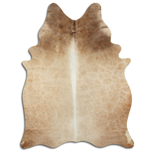 Brown Cowhide Rug M