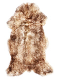 NH00036