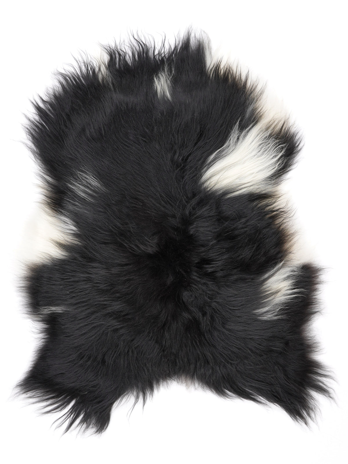 NV00067