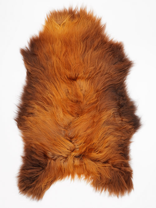 OX00039