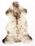 ML00079