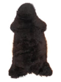 NF00081