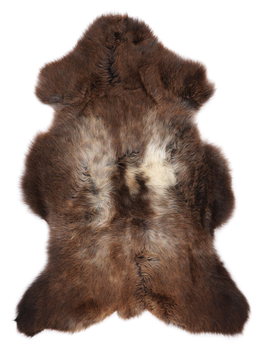 MV00034