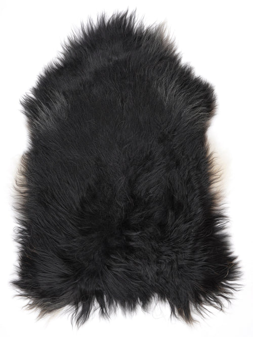 NV00061