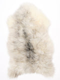 ML00094