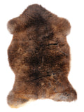 NM00043