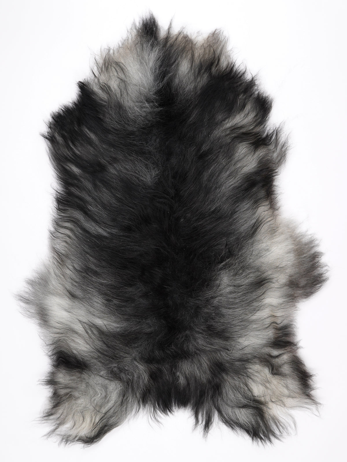 NY00077