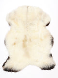 NG00018