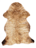 MN00073