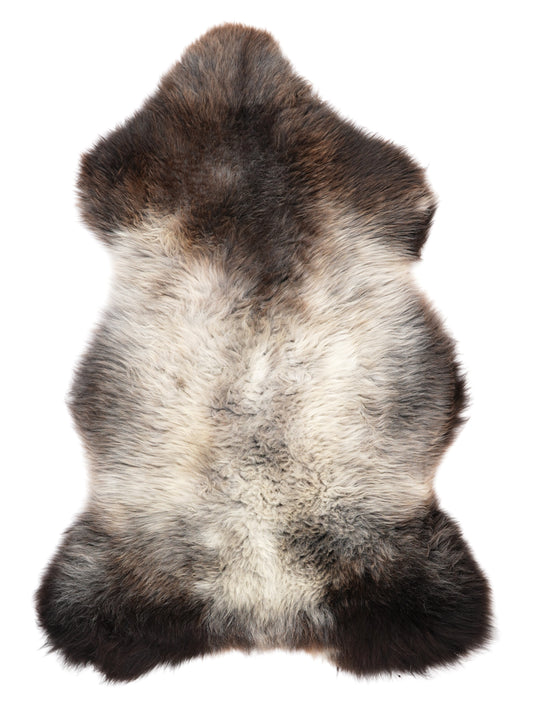 NB00099