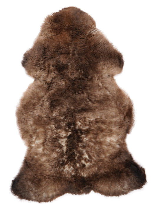 NF00087