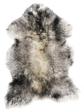 NH00053