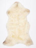 NW00085