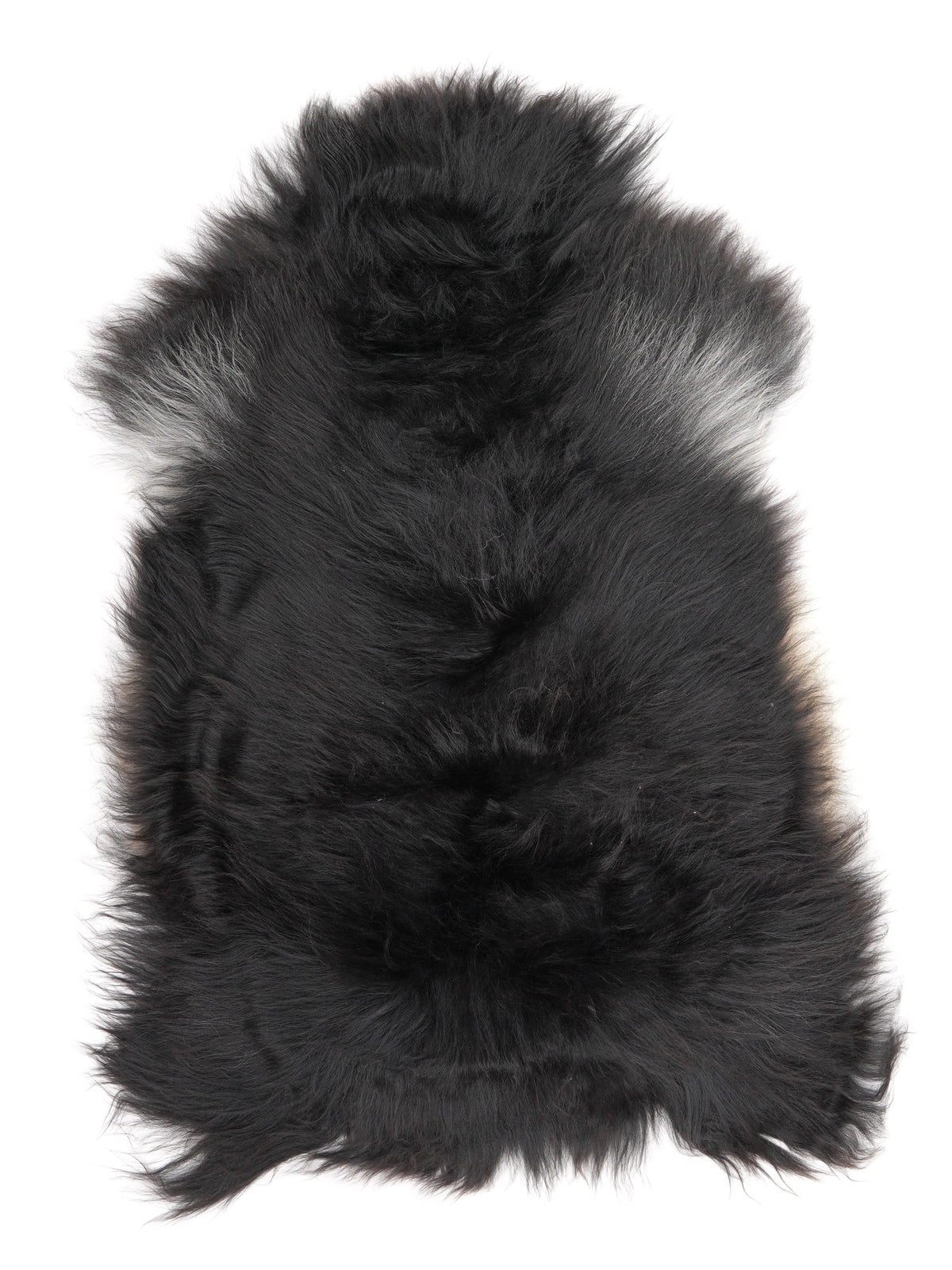 MC00058