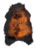 NM00095
