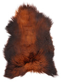 MD00031