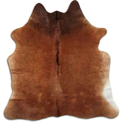 Brown Cowhide Rug M