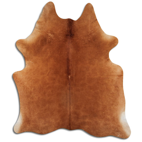 Brown Cowhide Rug L