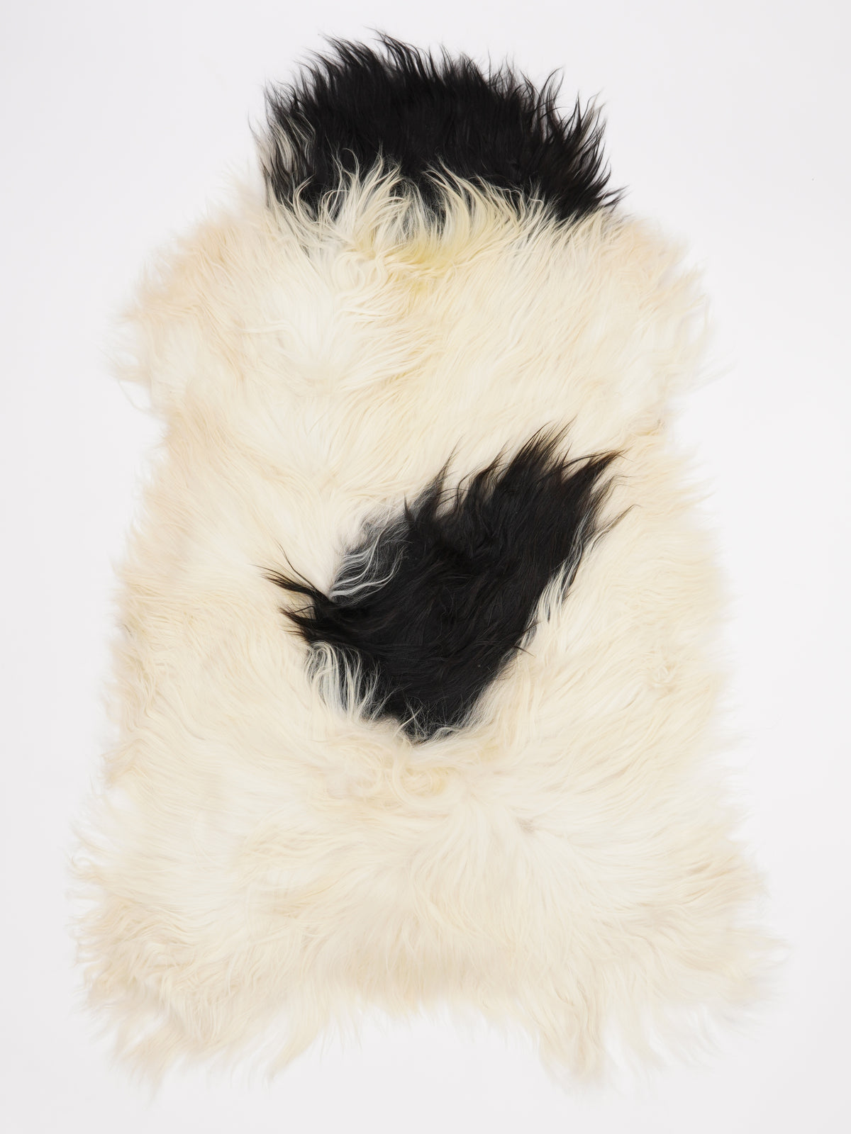 OR00007