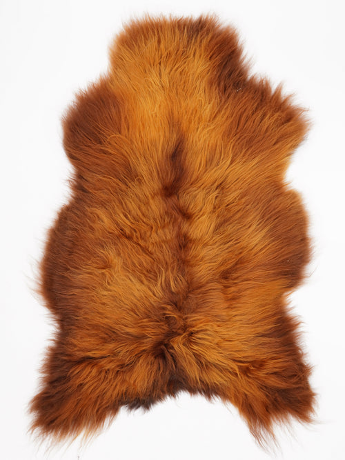 OX00038
