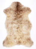 NW00089