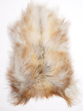 MH00034